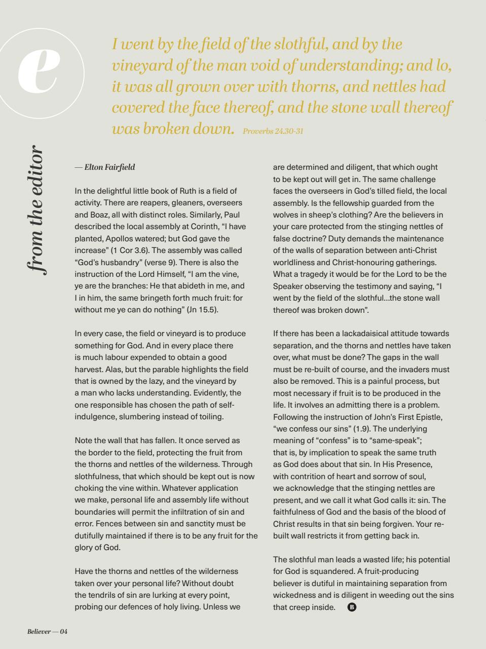 Believer Magazine Preview Pages