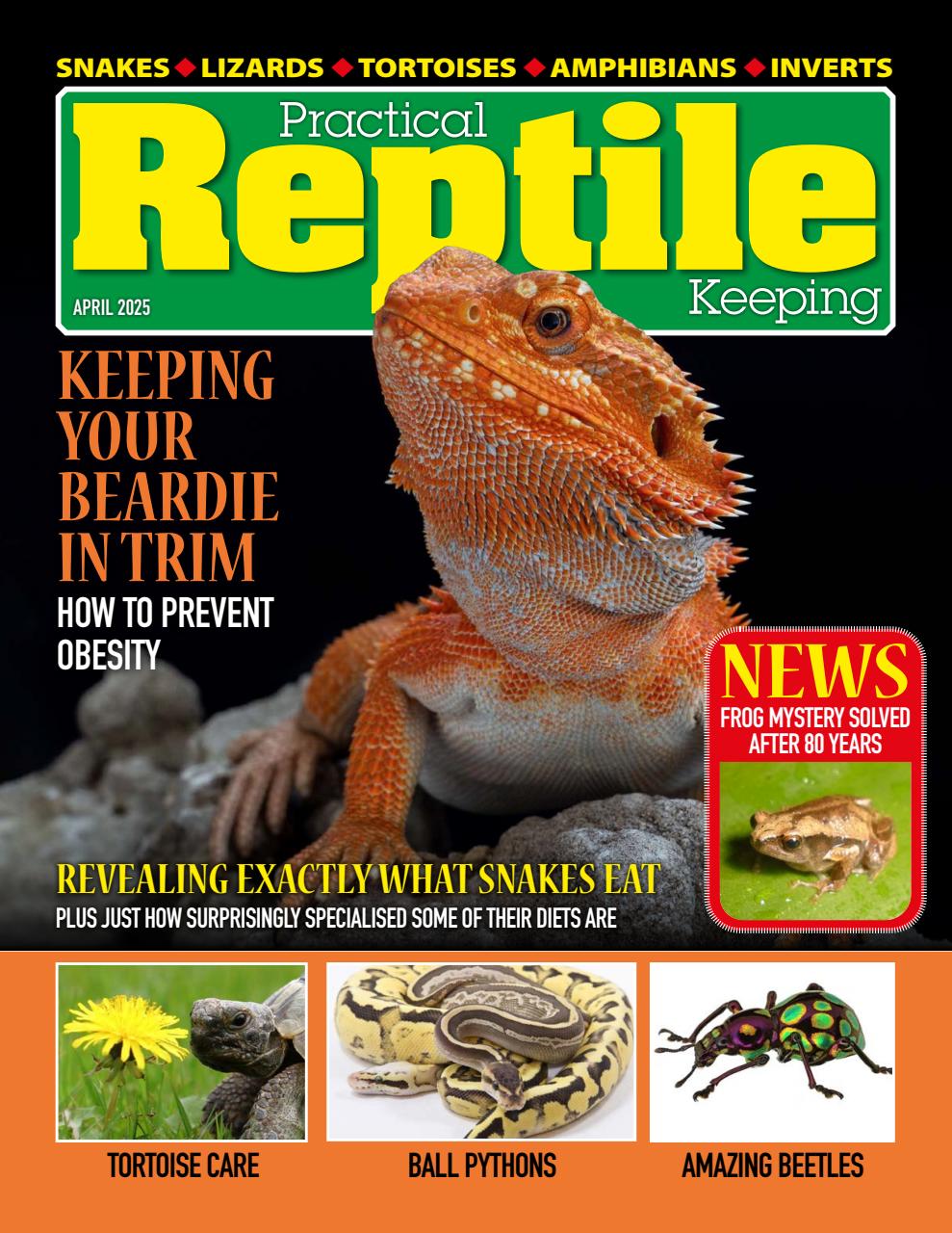 Practical Reptile Keeping Preview Pages