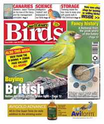 Cage & Aviary Birds Discounts