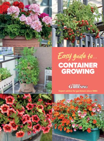 Amateur Gardening issue Easy Guides to #6