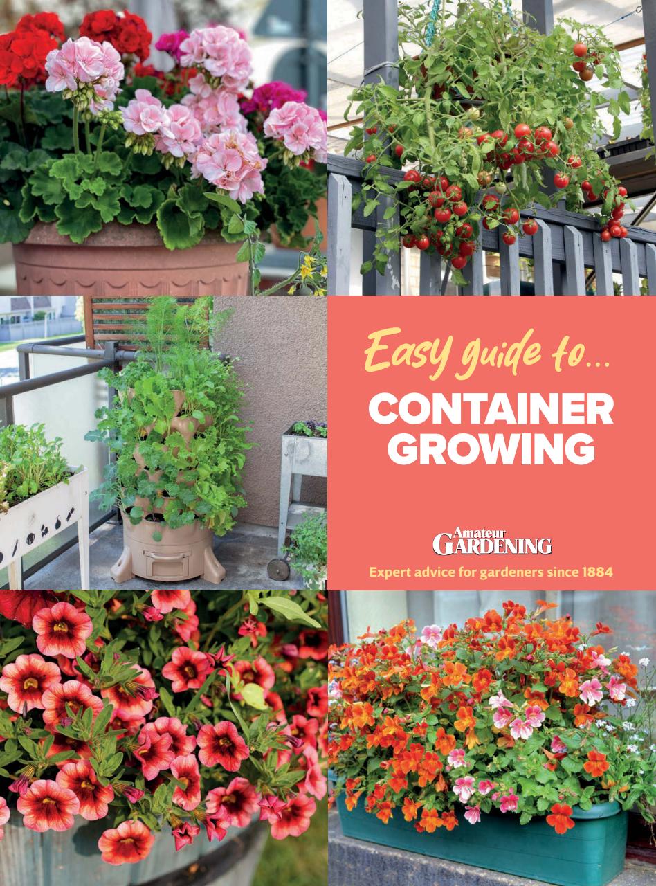 Amateur Gardening Preview Pages