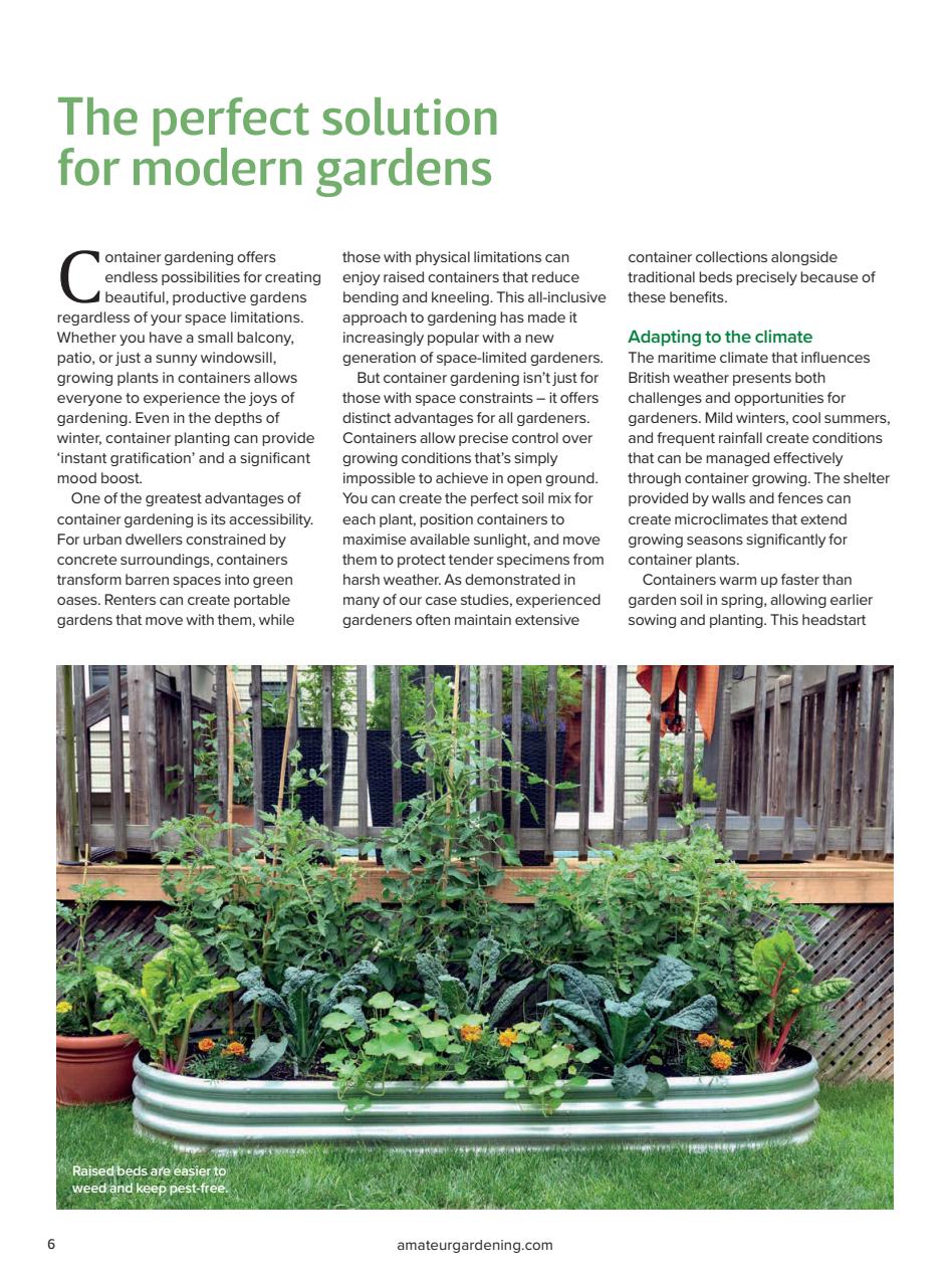 Amateur Gardening Preview Pages