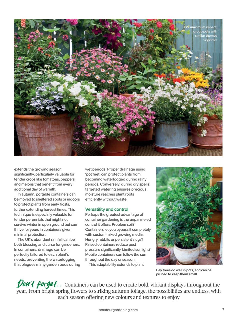 Amateur Gardening Preview Pages