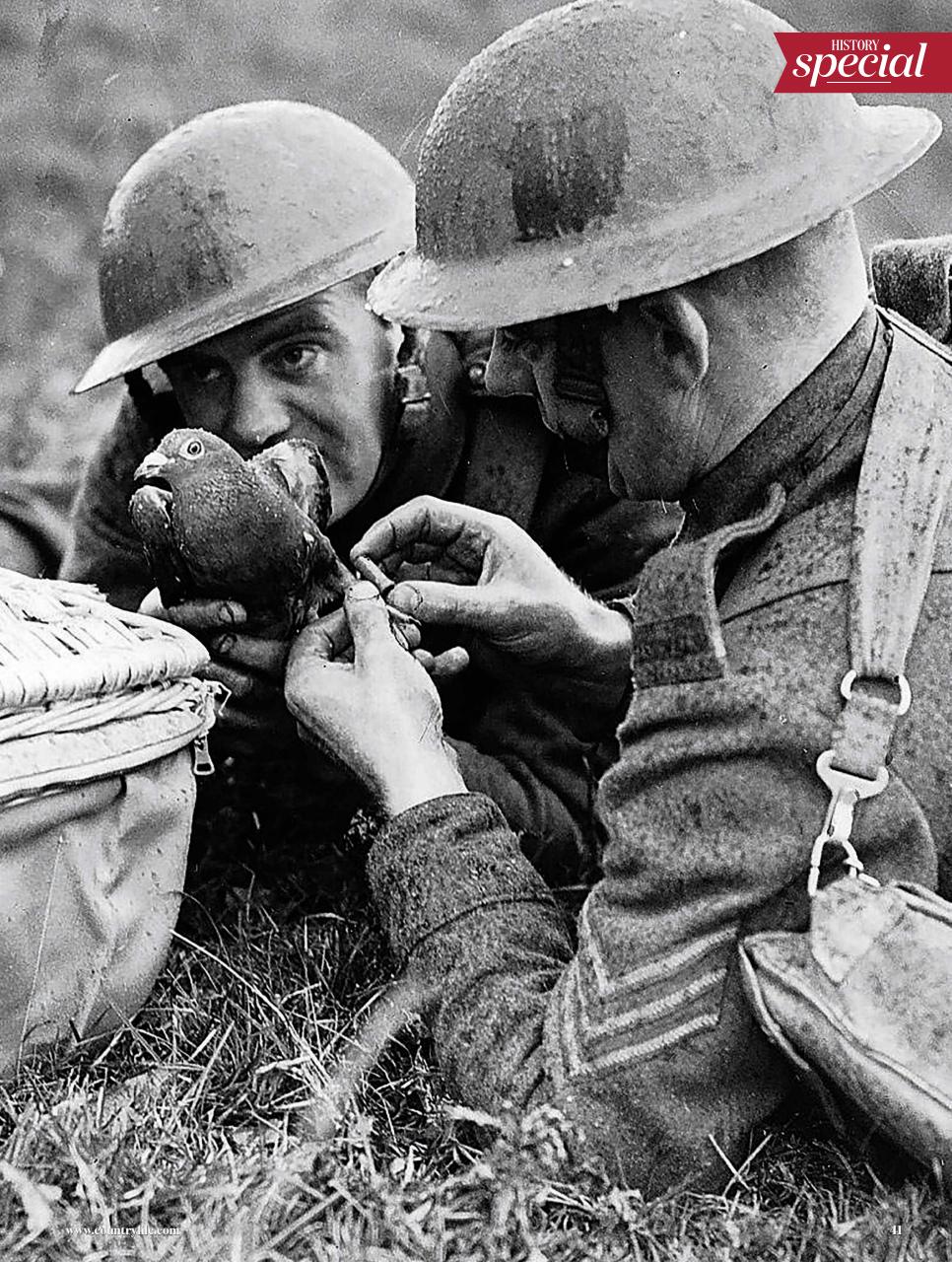 BBC Countryfile Magazine Preview Pages