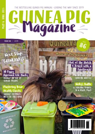 Guinea Pig Magazine issue 