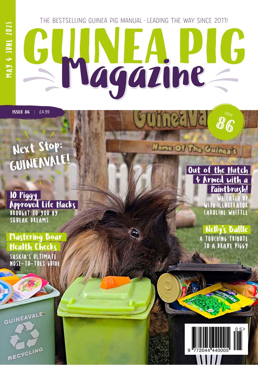 Guinea Pig Magazine Preview Pages