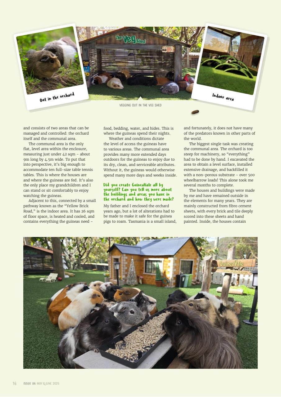 Guinea Pig Magazine Preview Pages