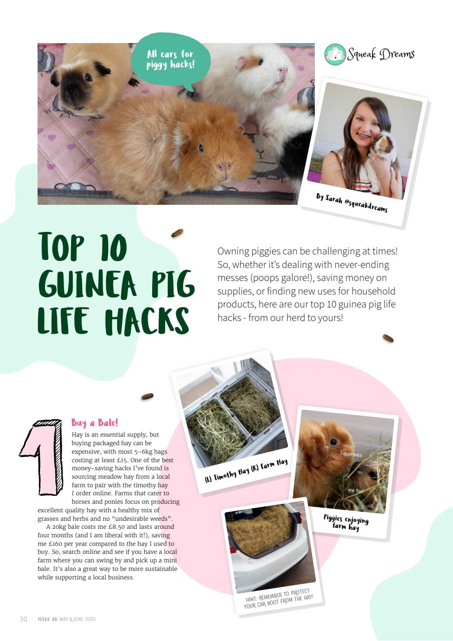 Guinea Pig Magazine Preview Pages