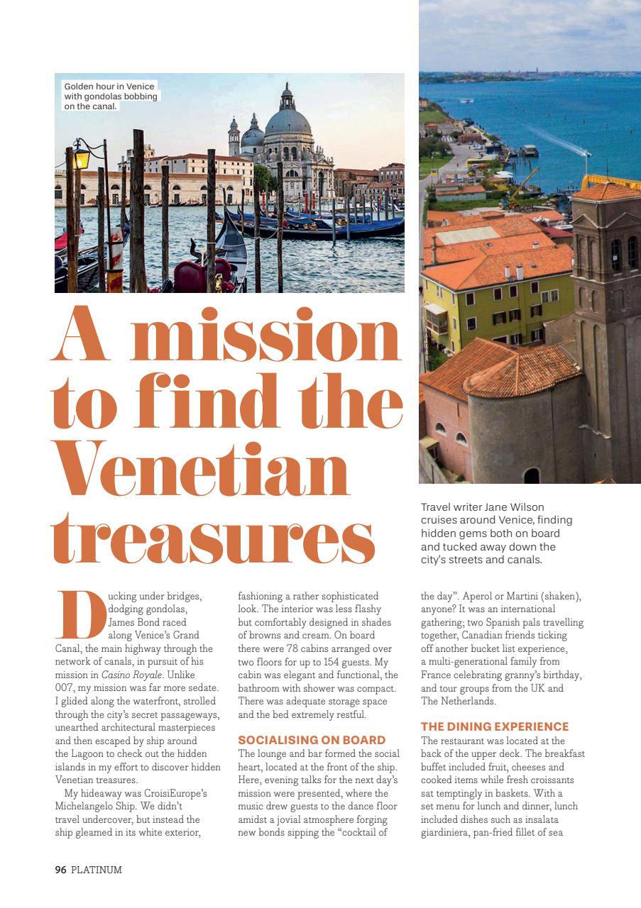 Platinum Preview Pages