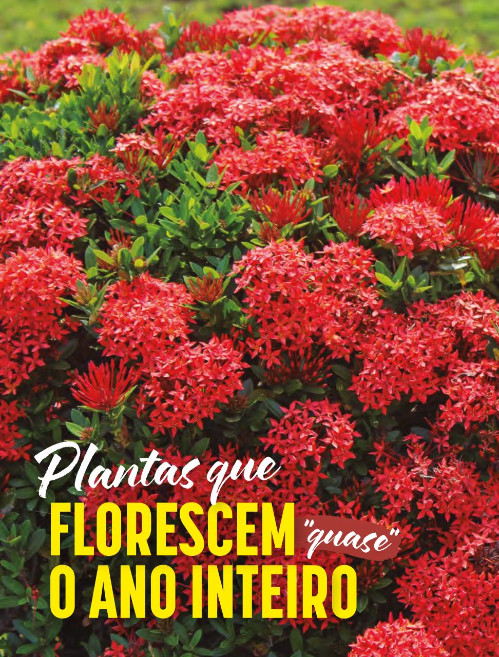 Natureza Preview Pages