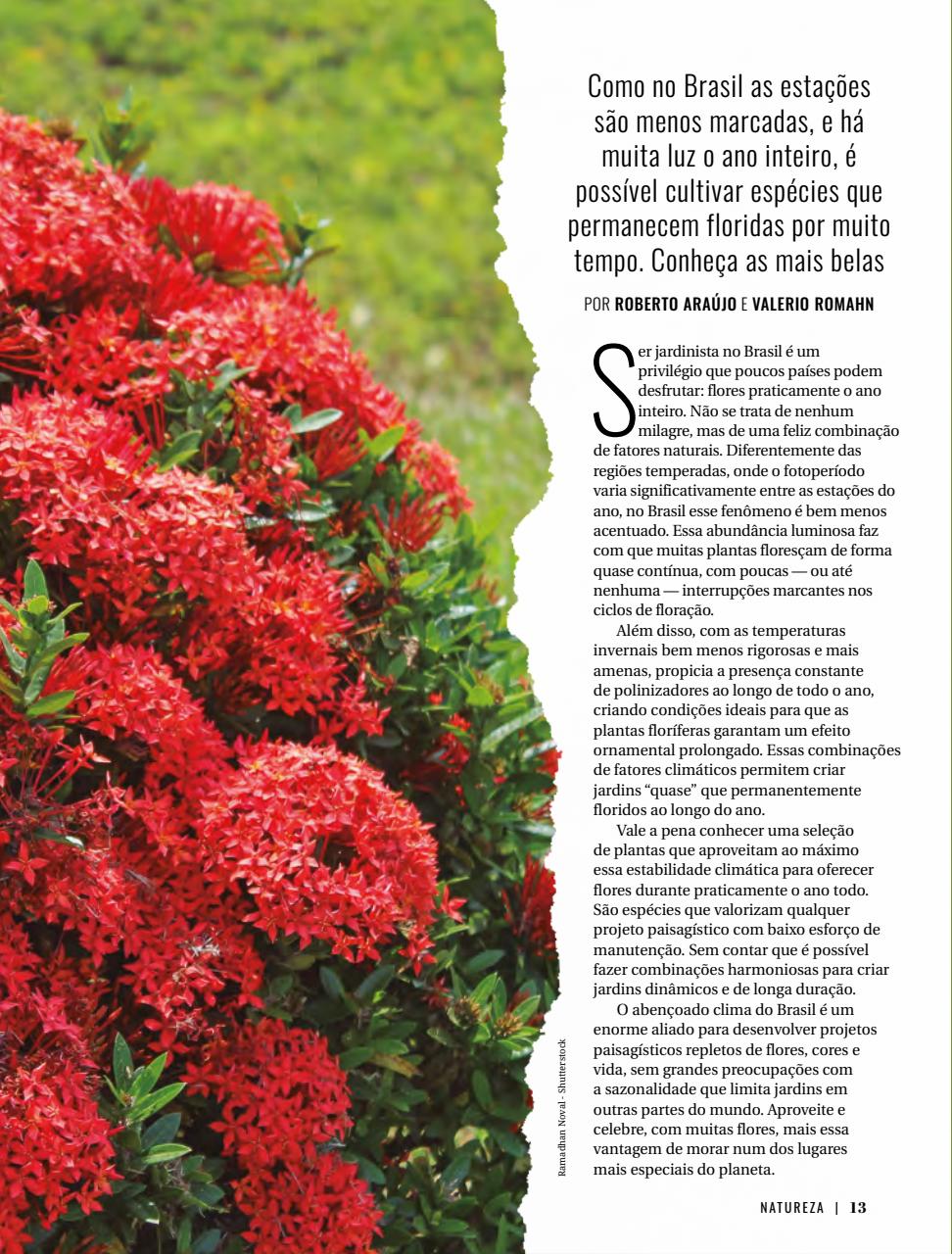 Natureza Preview Pages