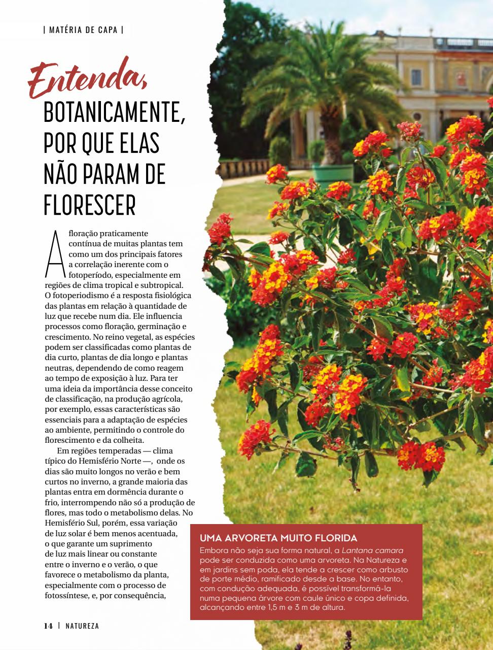 Natureza Preview Pages