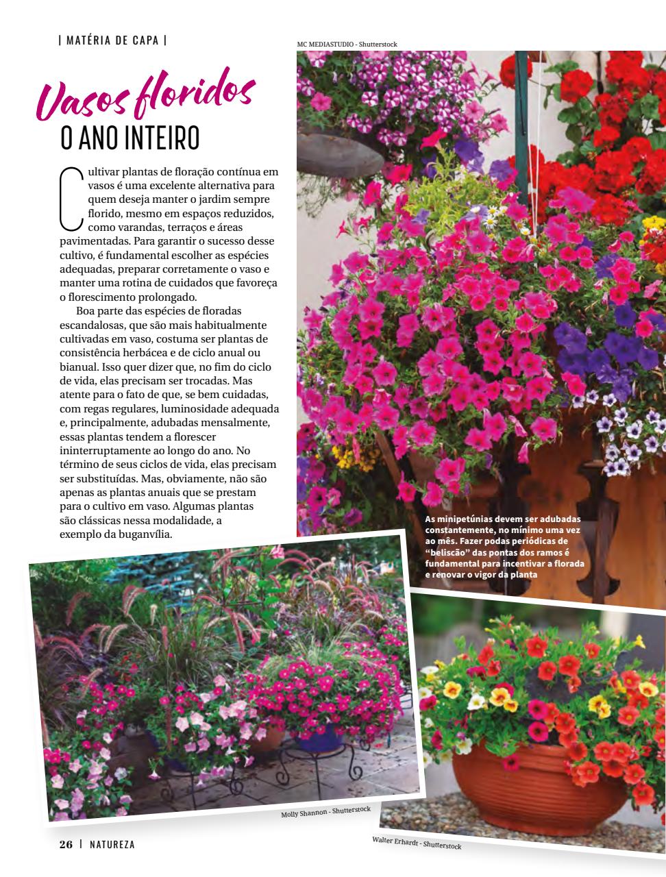 Natureza Preview Pages