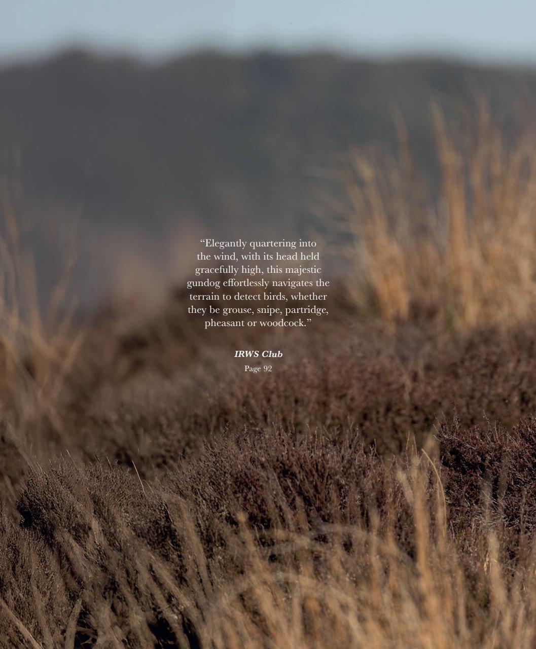 Gundog Journal Preview Pages