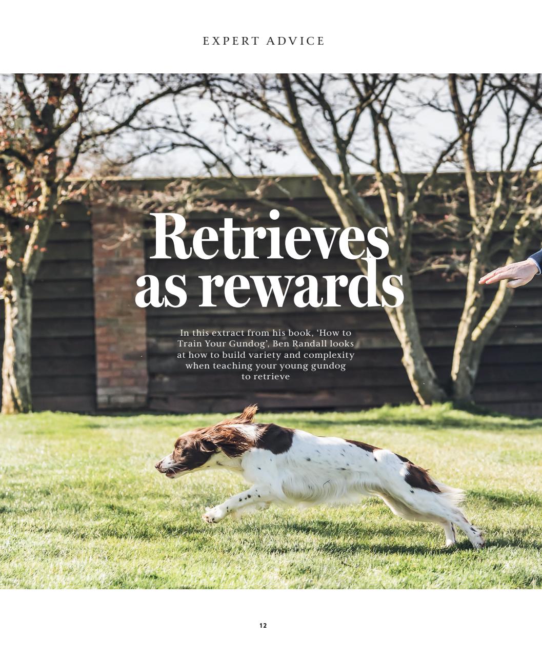 Gundog Journal Preview Pages