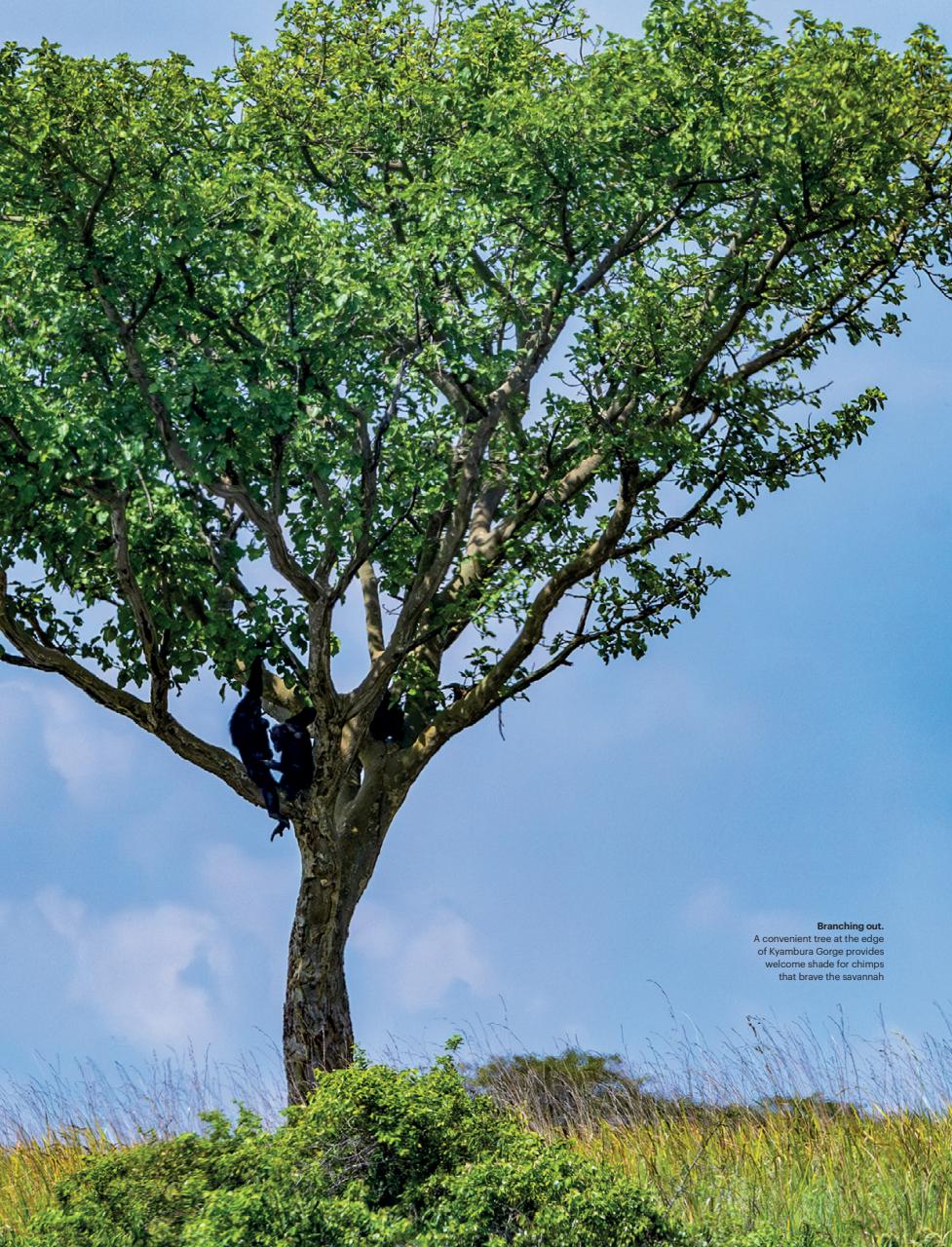 Travel Africa Preview Pages