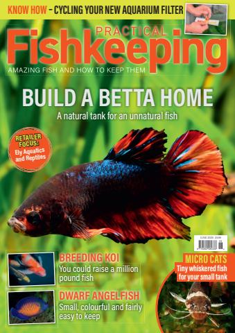 Practical Fishkeeping issue June 2025