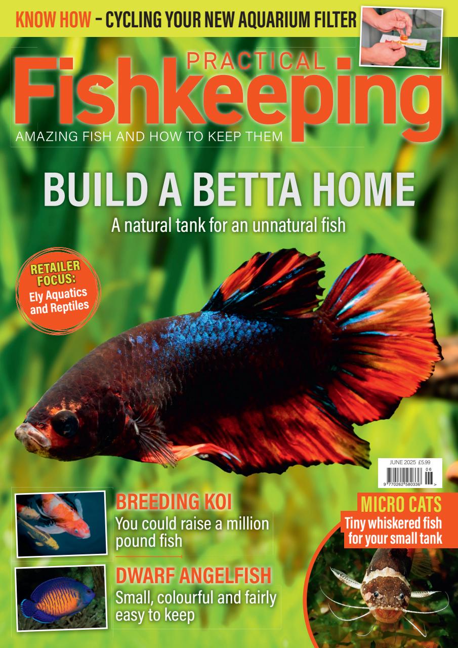 Practical Fishkeeping Preview Pages