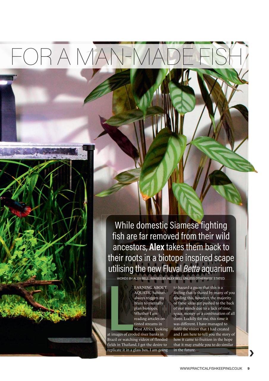 Practical Fishkeeping Preview Pages