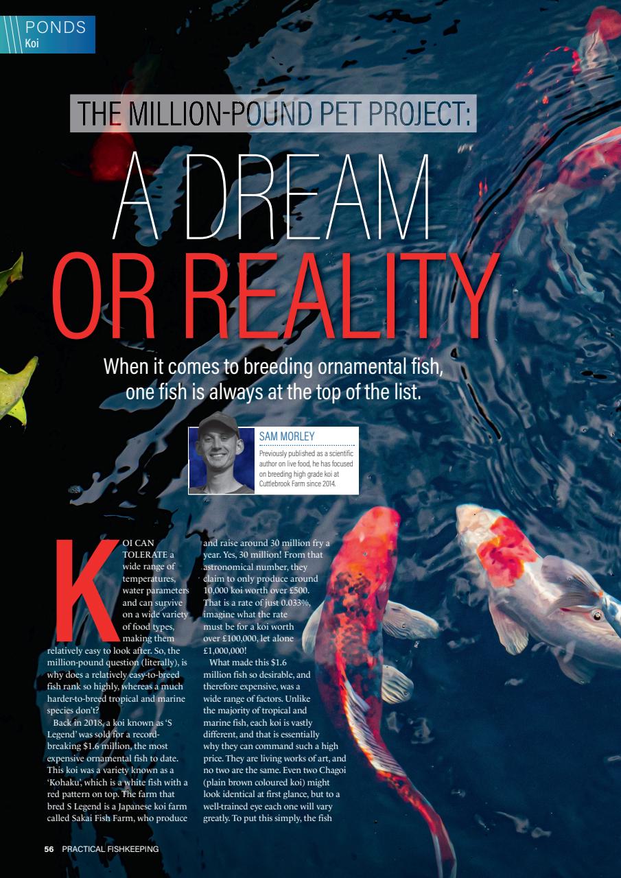 Practical Fishkeeping Preview Pages