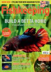 Practical Fishkeeping Discounts