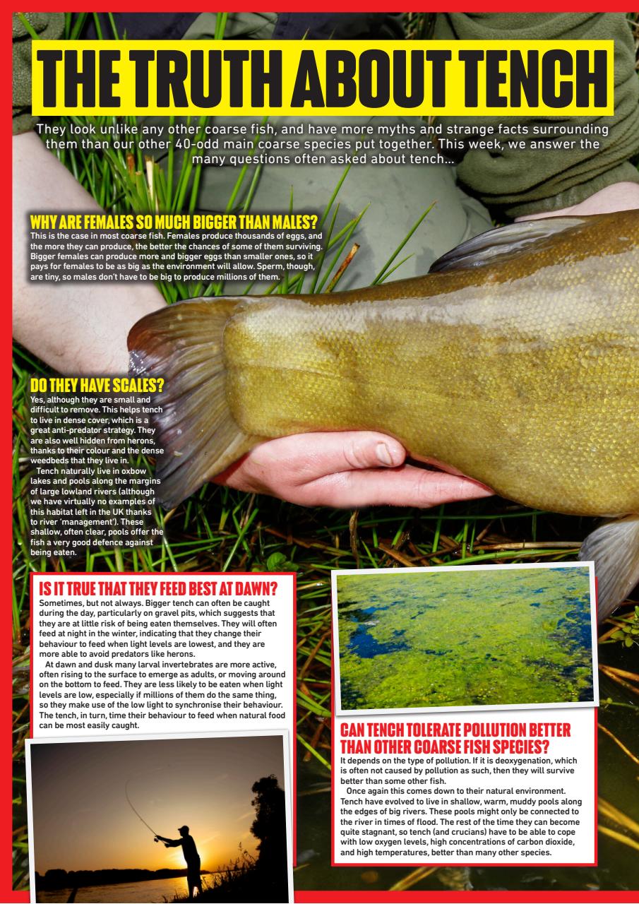 Angling Times Preview Pages