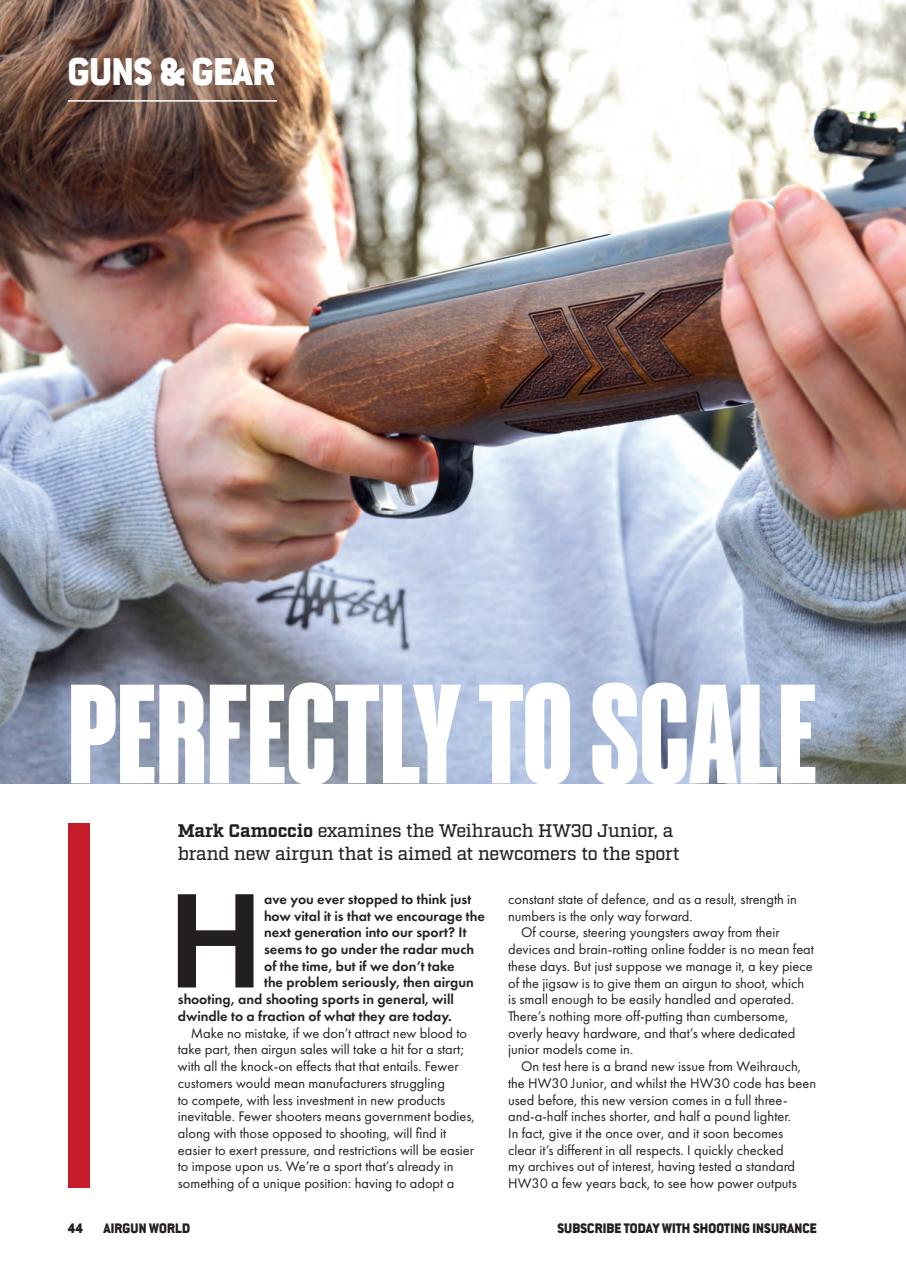 Airgun World Preview Pages