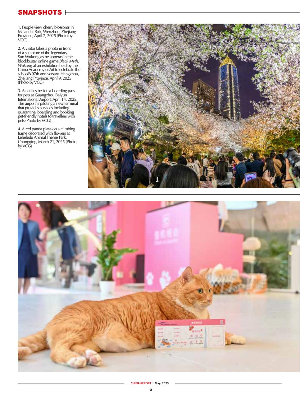 China Report Preview Pages