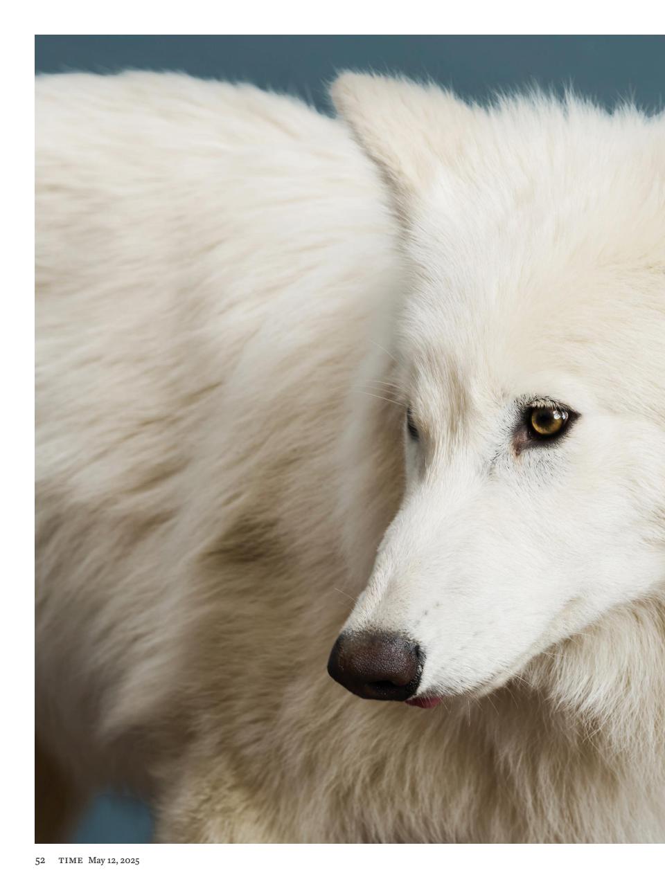 TIME Magazine Europe Preview Pages