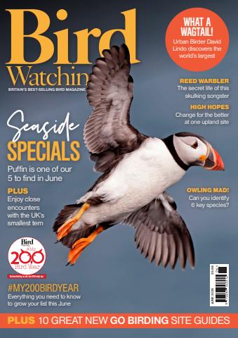 Bird Watching issue Jun-25