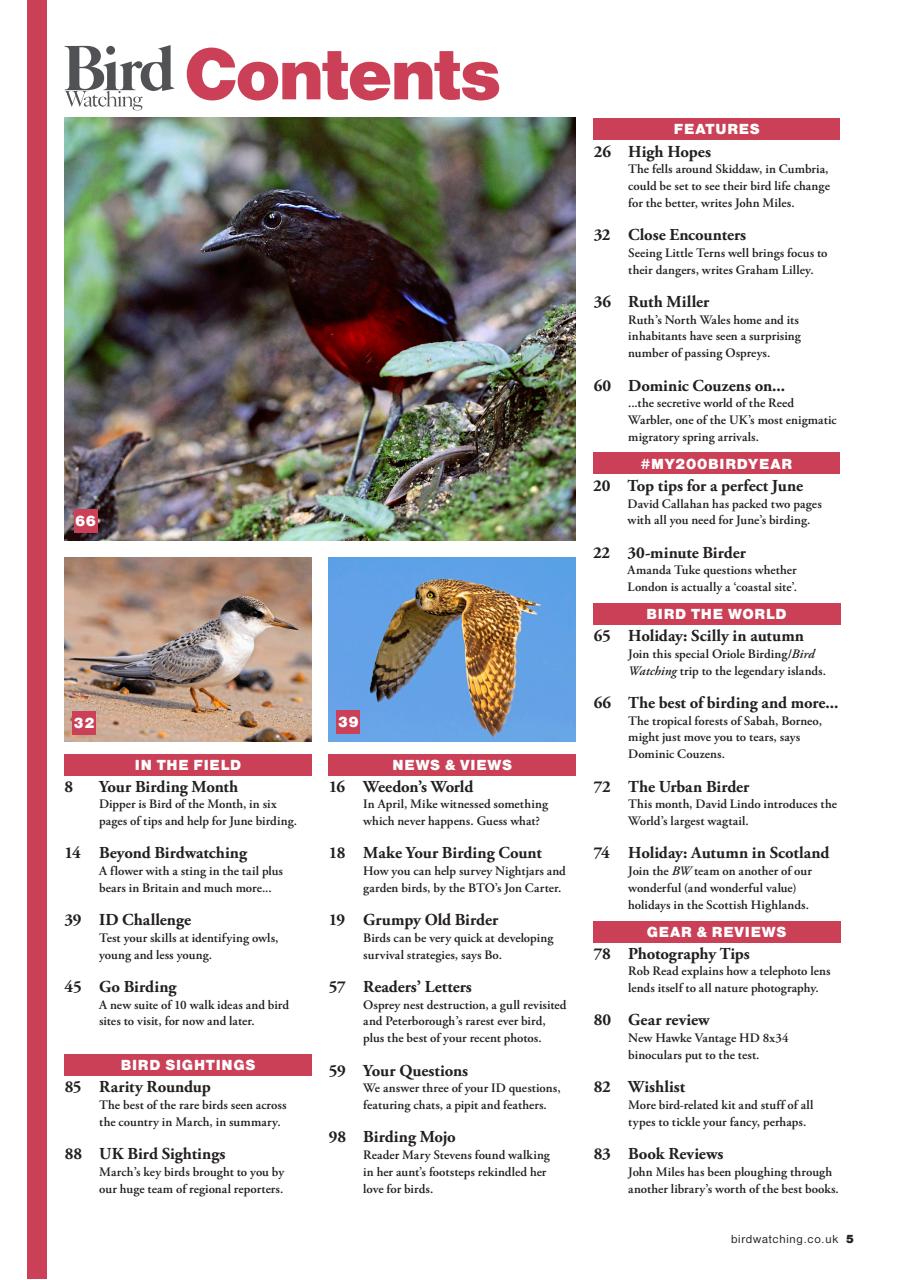Bird Watching Preview Pages