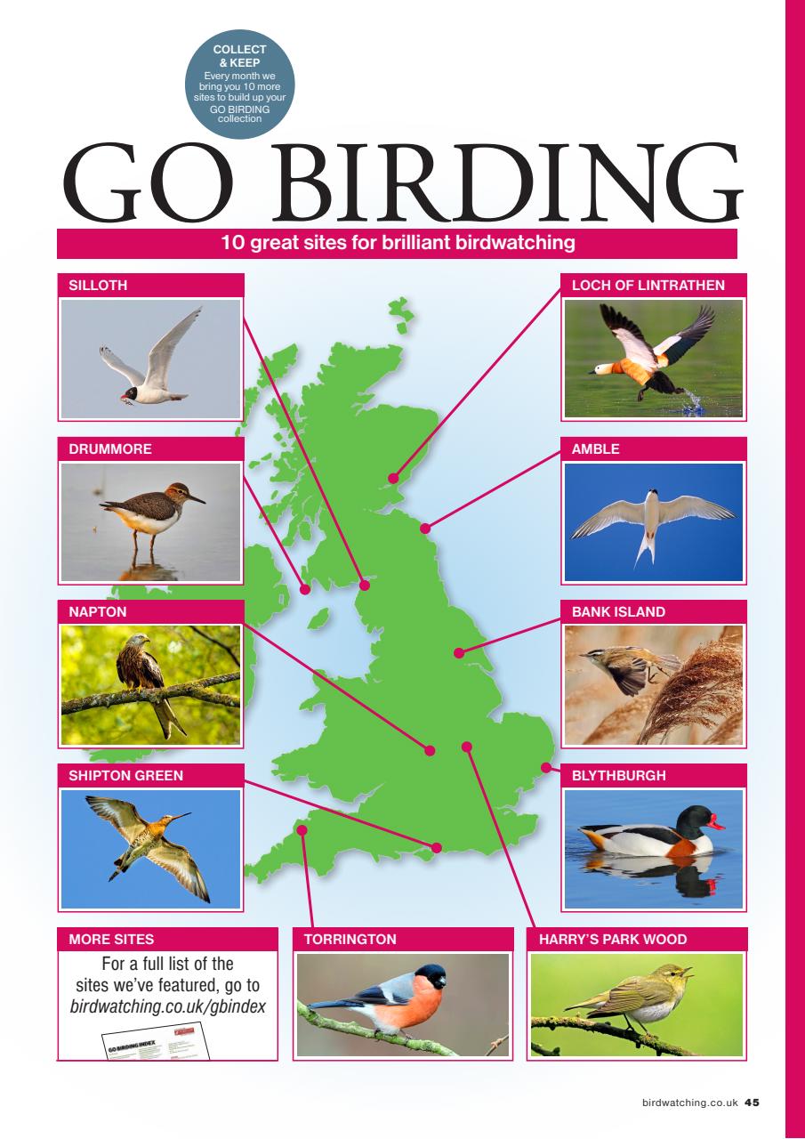 Bird Watching Preview Pages