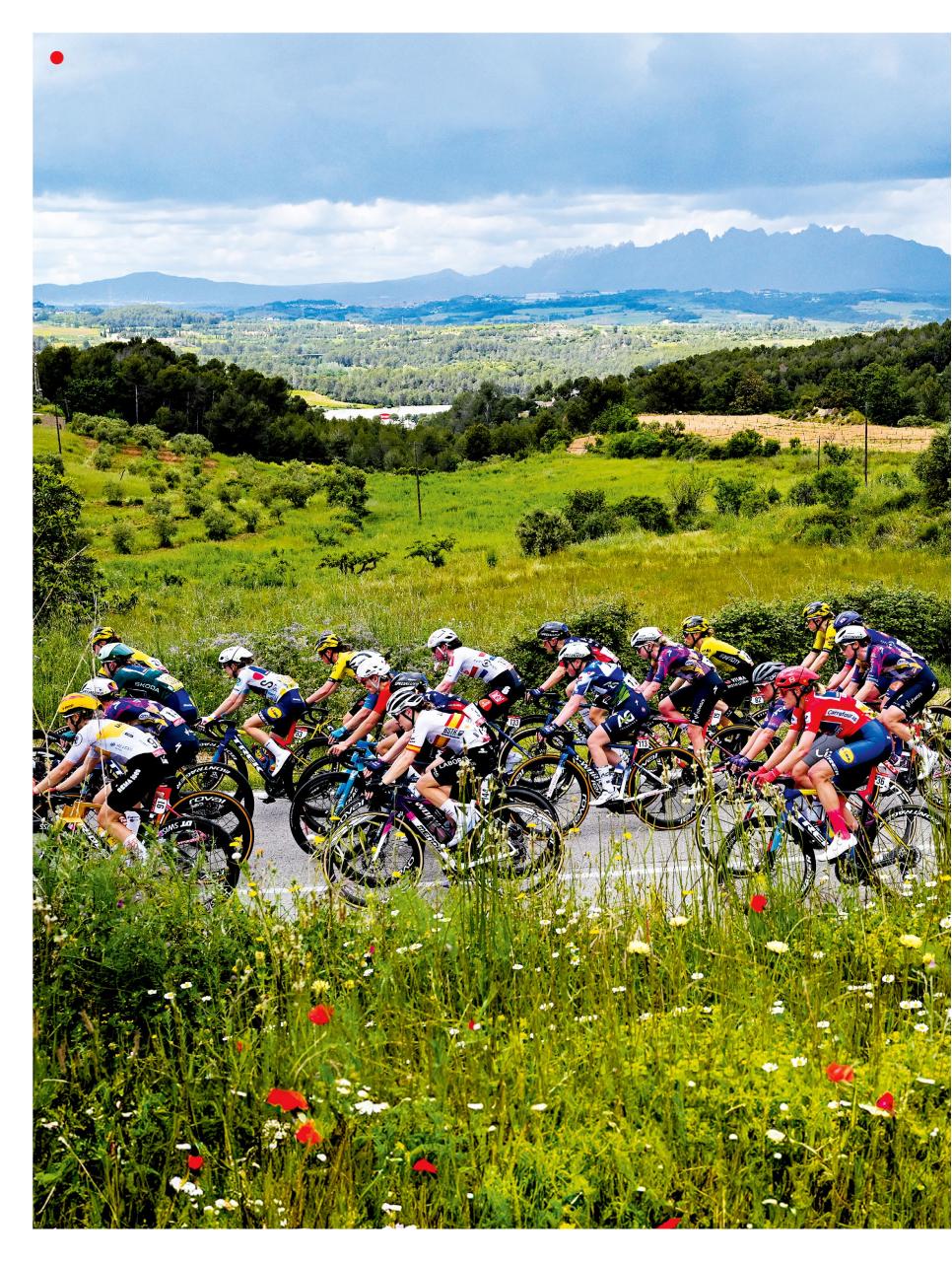 Cycling Weekly Preview Pages