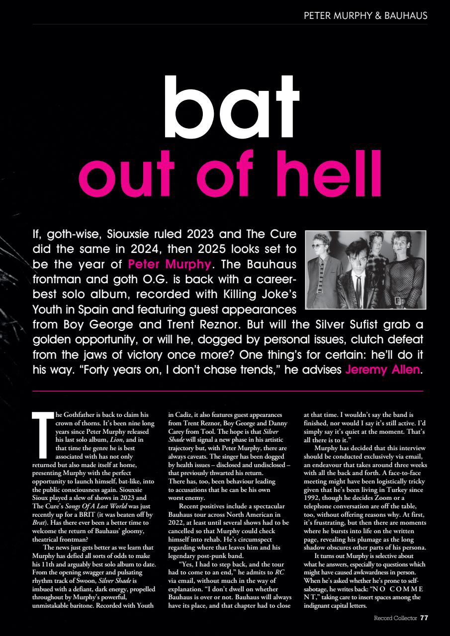 Record Collector Preview Pages