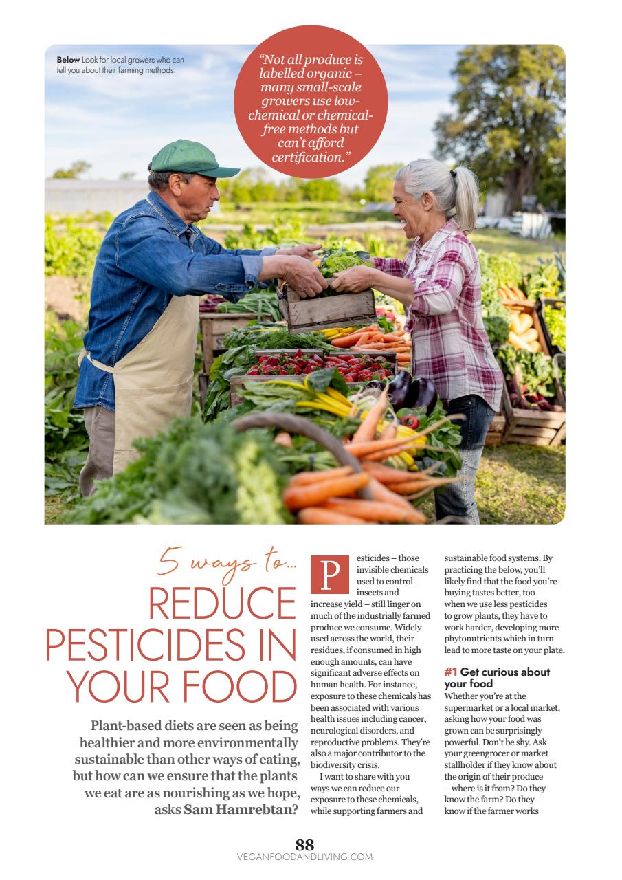 Vegan Food & Living Magazine Preview Pages