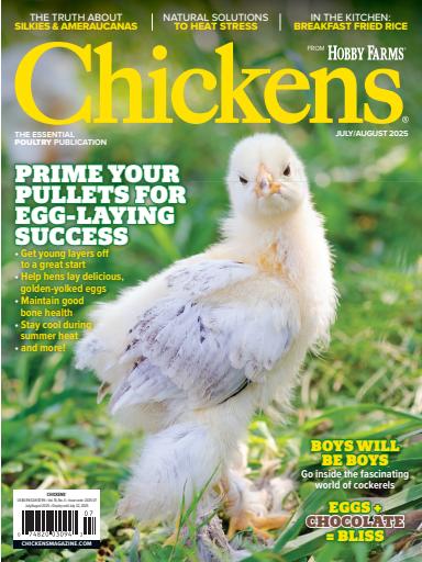 Chickens Magazine issue 