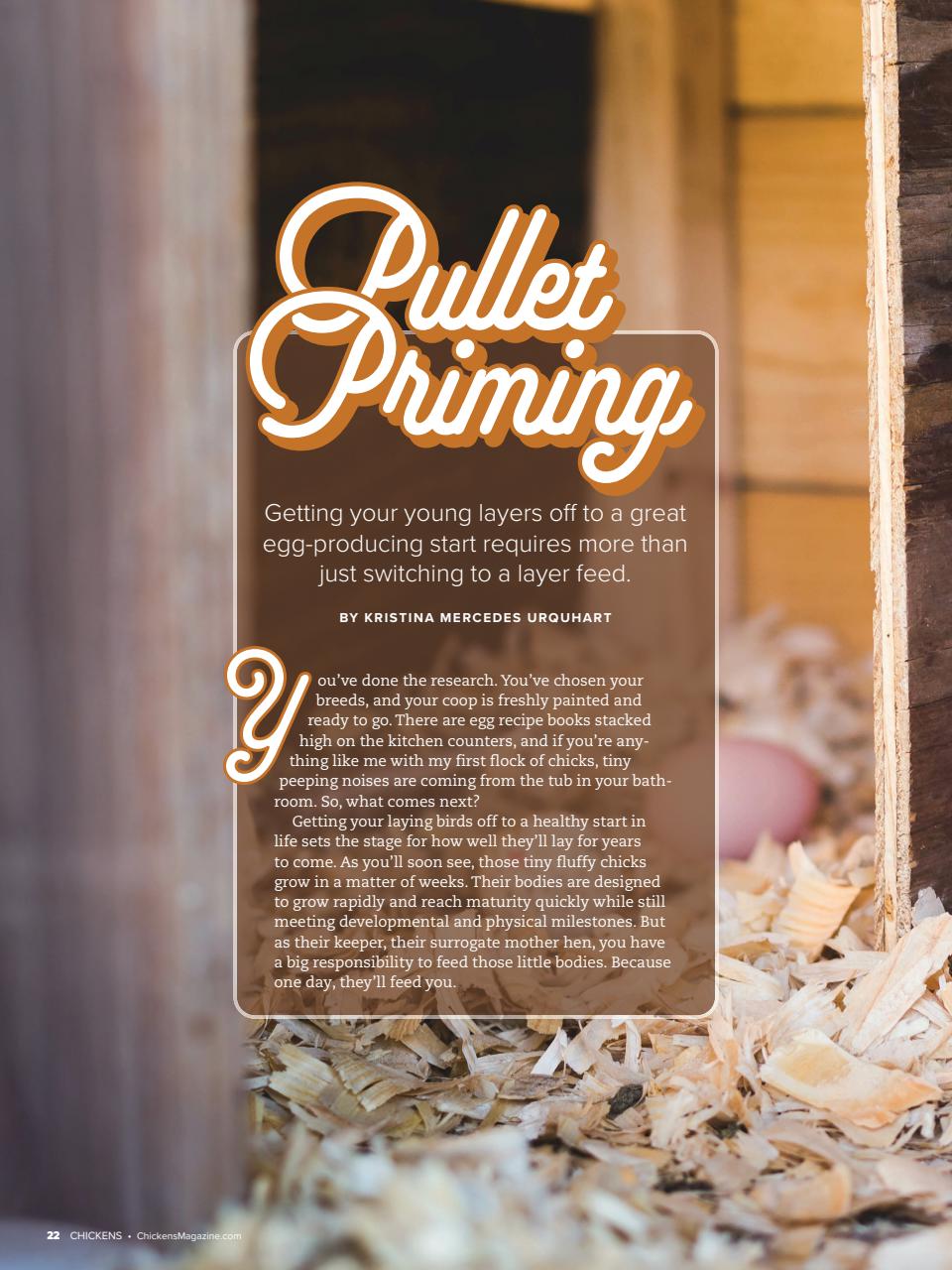 Chickens Magazine Preview Pages