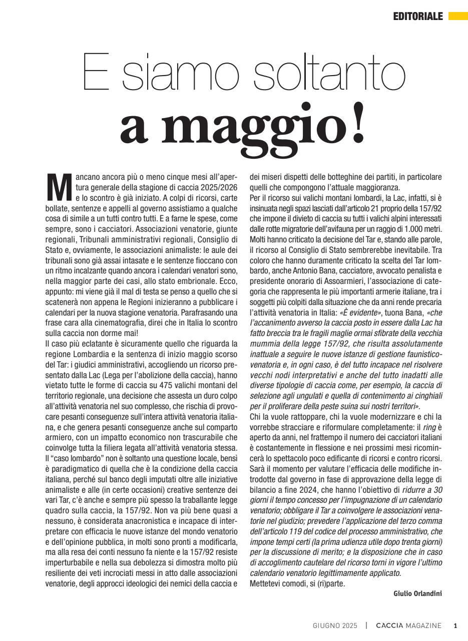 Caccia Magazine Preview Pages