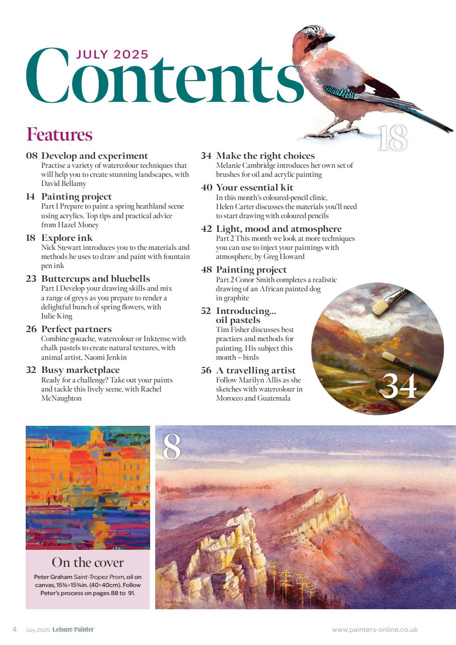 Leisure Painter & The Artist Preview Pages