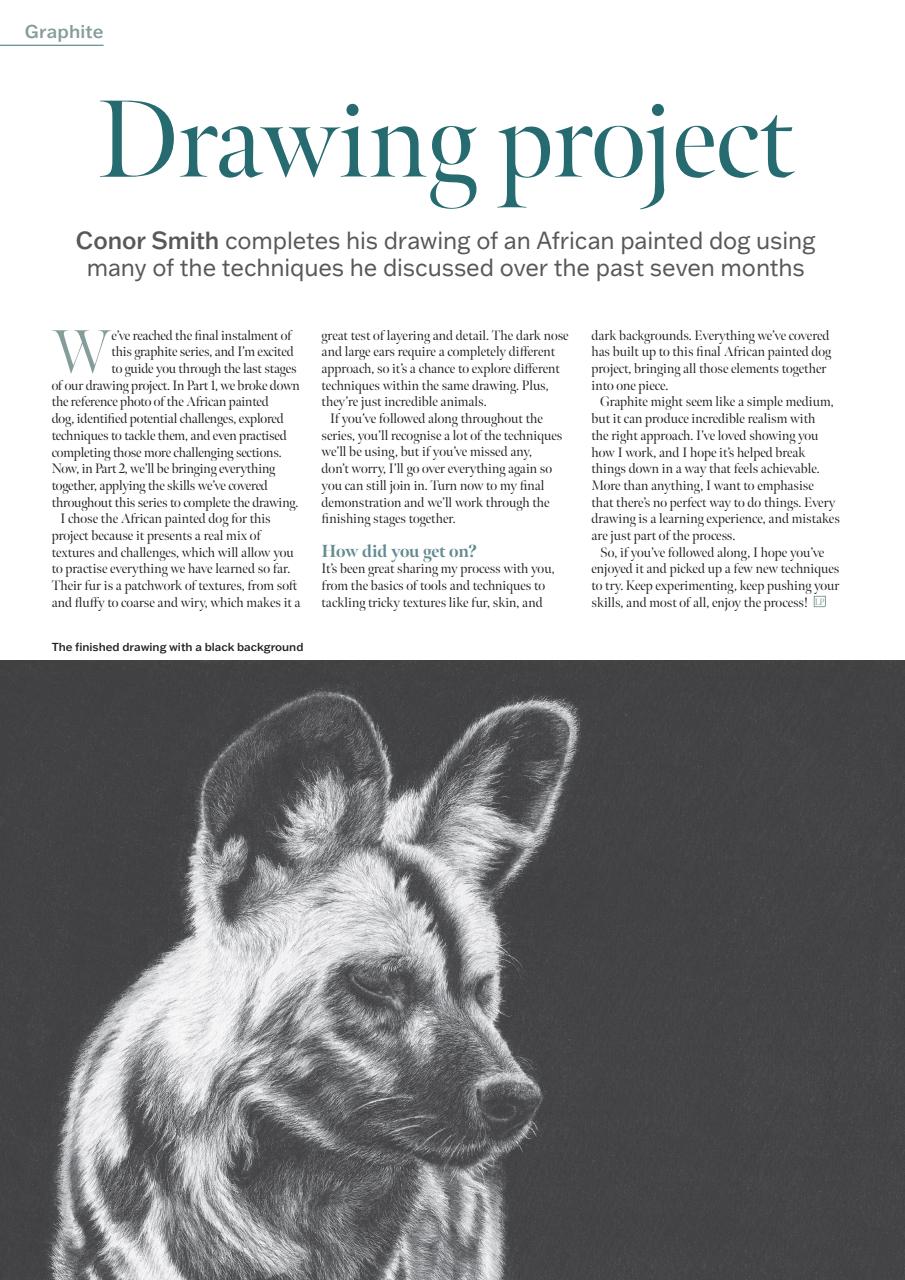 Leisure Painter & The Artist Preview Pages