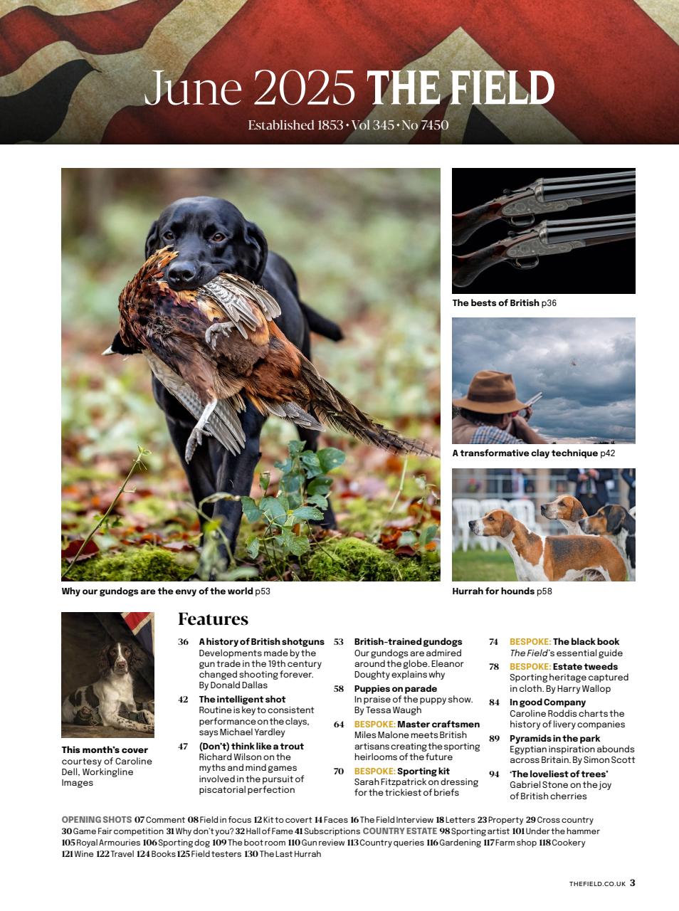 The Field Preview Pages