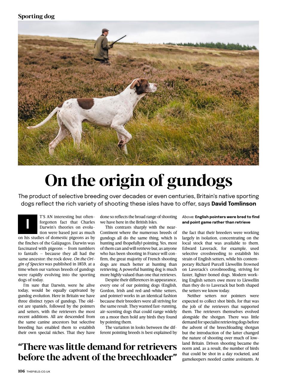 The Field Preview Pages