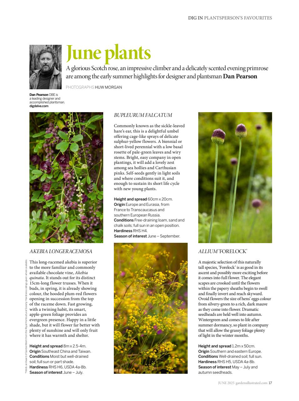 Gardens Illustrated Preview Pages