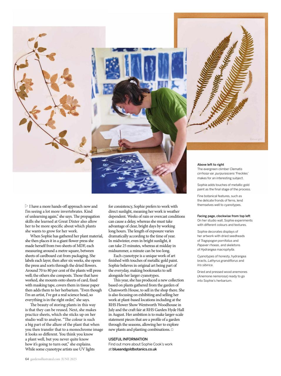 Gardens Illustrated Preview Pages