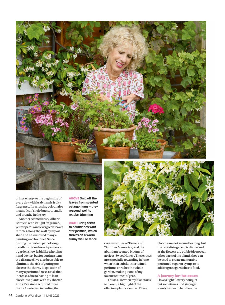 BBC Gardeners’ World Magazine Preview Pages