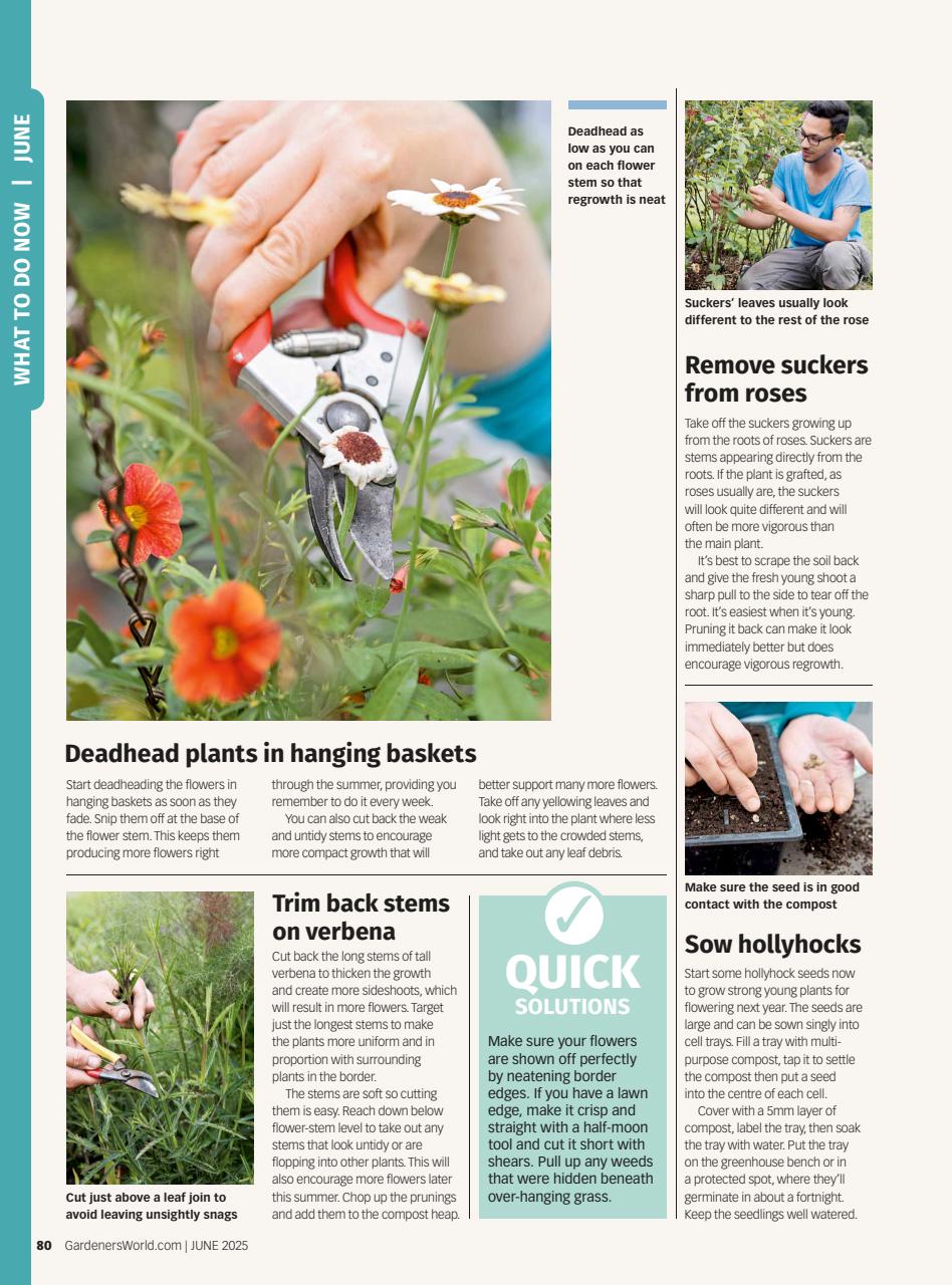 BBC Gardeners’ World Magazine Preview Pages