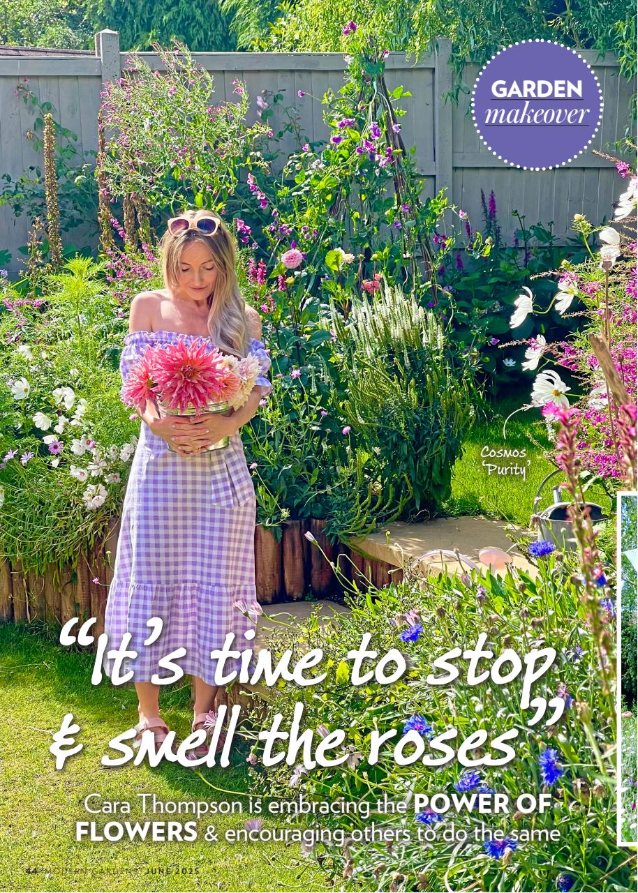 Modern Gardens Preview Pages