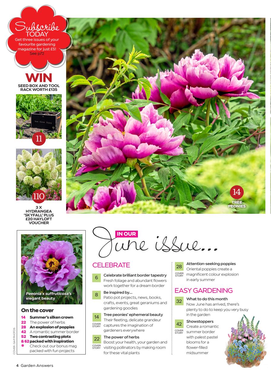 Garden Answers Preview Pages