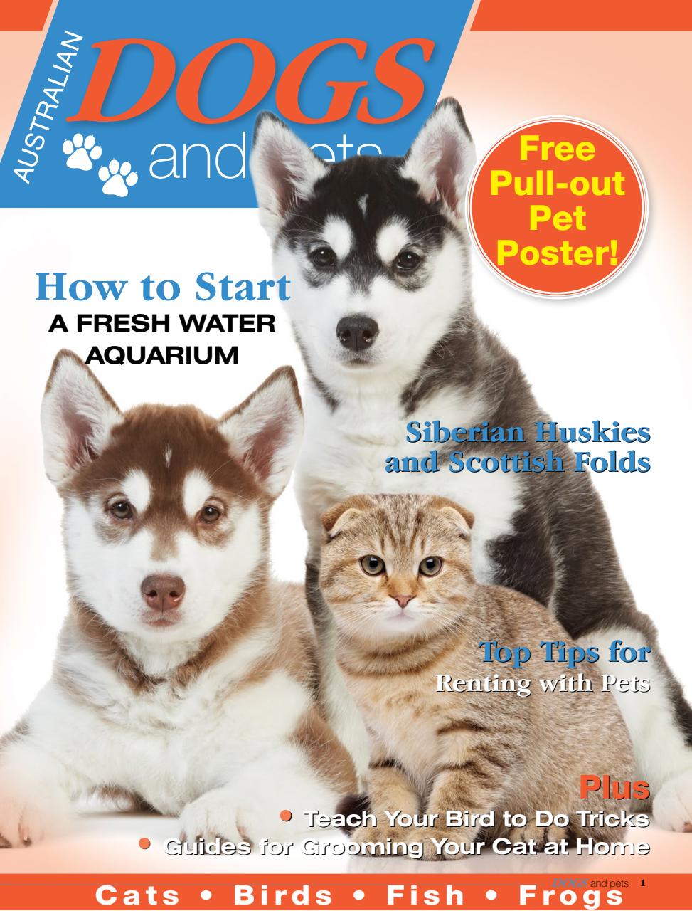 Dogs and Pets Preview Pages