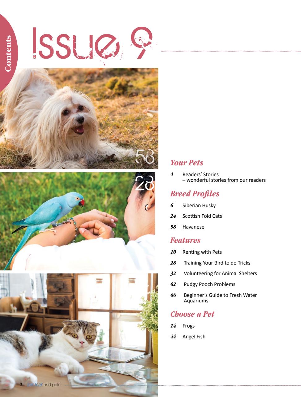 Dogs and Pets Preview Pages
